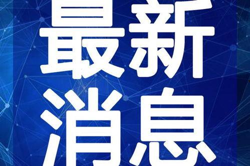 广州暗访爆料视频大全最新,揭露城市角落不为人知的故事